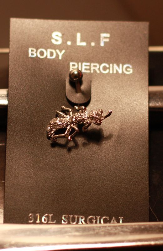 piercing nombril scorpion piercing nombril scorpion