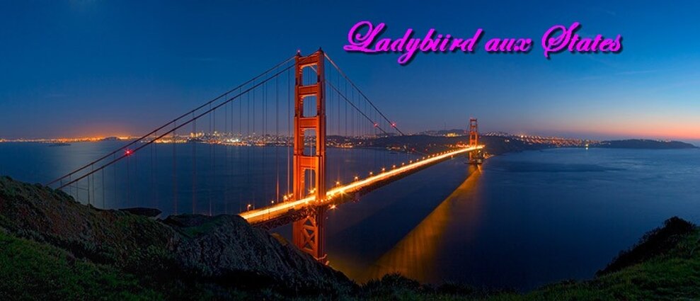 Ladybiird aux States