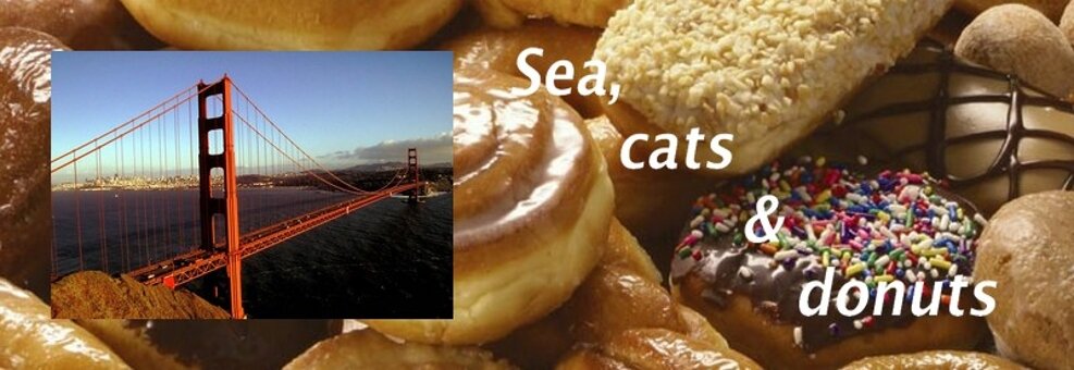 Sea, cats & donuts