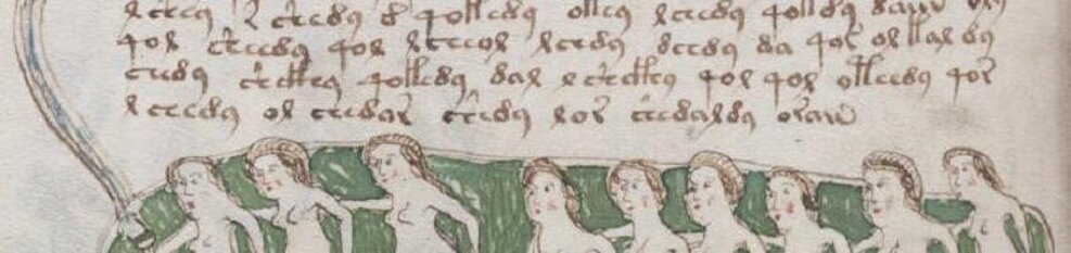 MS 408: Voynich Manuscript