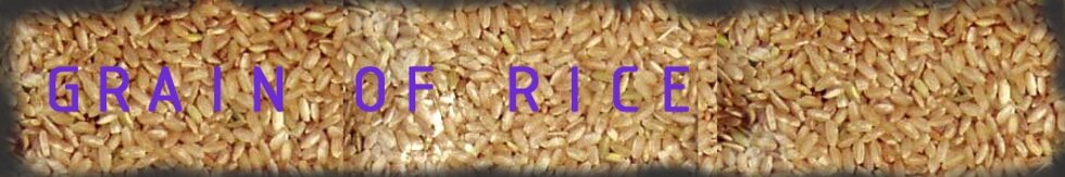 Grain of rice