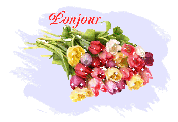 bonjour55