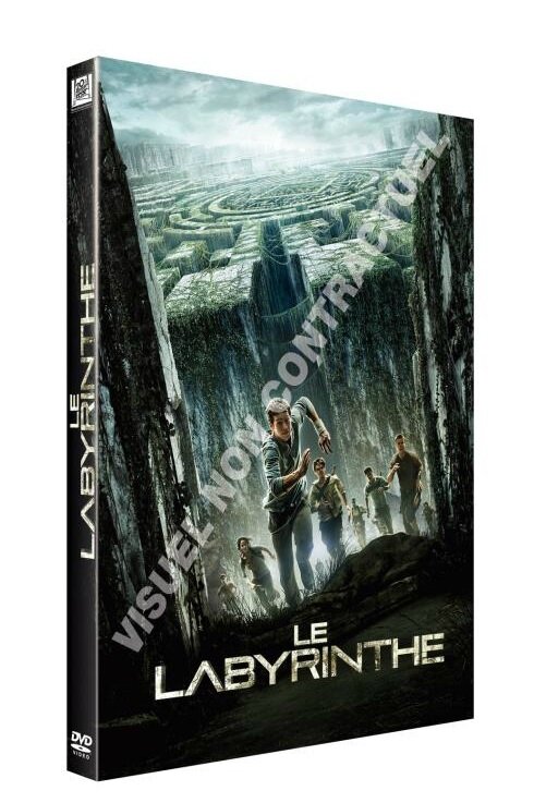 dvd le labyrinthe
