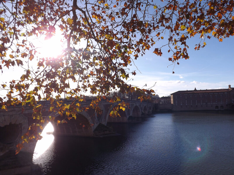 Pont-Neuf Toulouse
