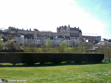 Amboise_vue_generale