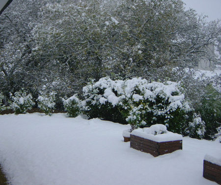 Carantec_hiver2010