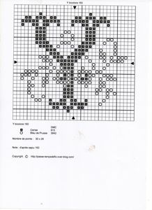 Y_bicolore_160__2_
