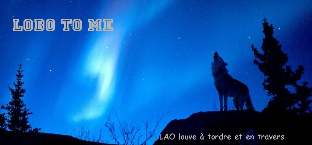 Lobo to me