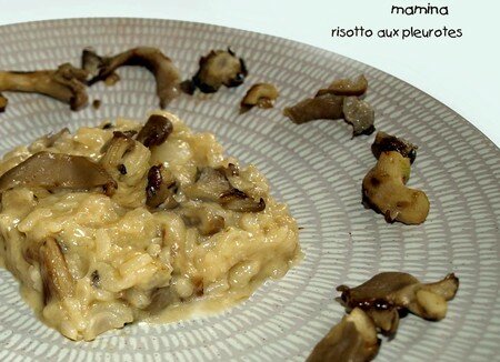 RISOTTO_AUX_PLEUROTTES_10