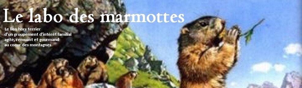 le labo des marmottes