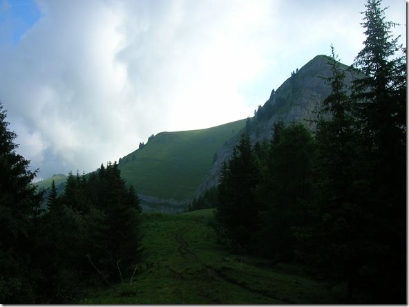 DSCN5029