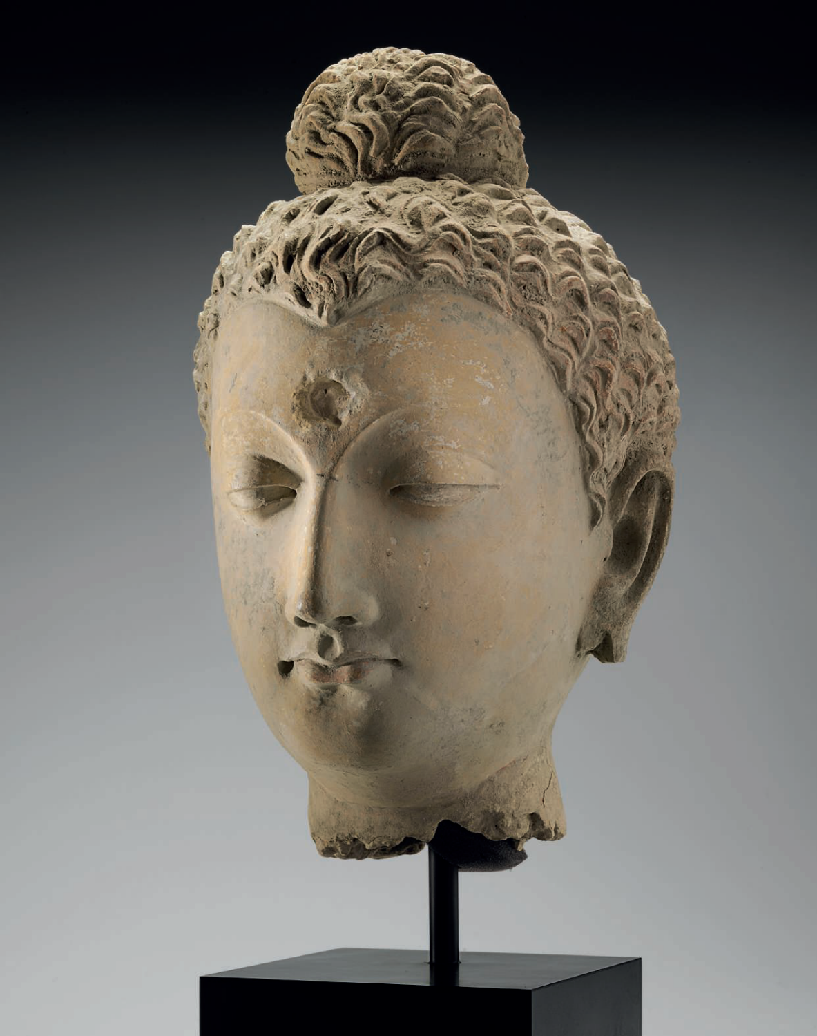 【gandhara】 Sold at Auction: A Gandharan Gray Schist Figure of Buddha