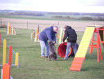 ERA en Agility 70751624_p