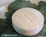 Cabecou_DC_t