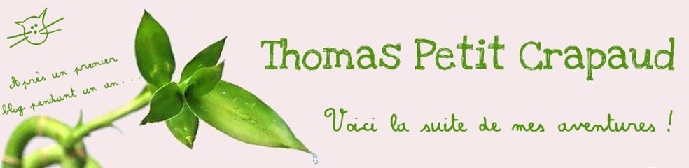 Thomas Petit Crapaud 2