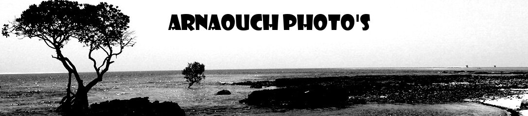 ARNAOUCH PHOTO'S