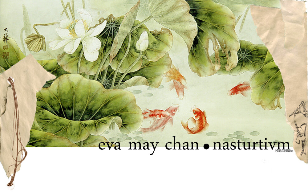 eva may chan • nastvrtivm