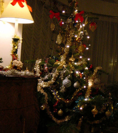 noel2010_sapin