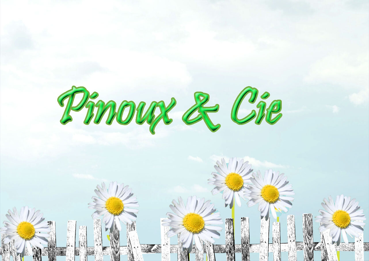 Pinous & Cie