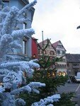 colmar__1_