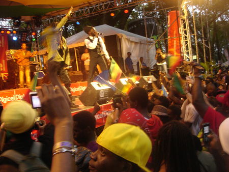 DSC03866