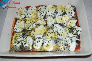 Parmesane_d_aubergines__DSC_6551_4387