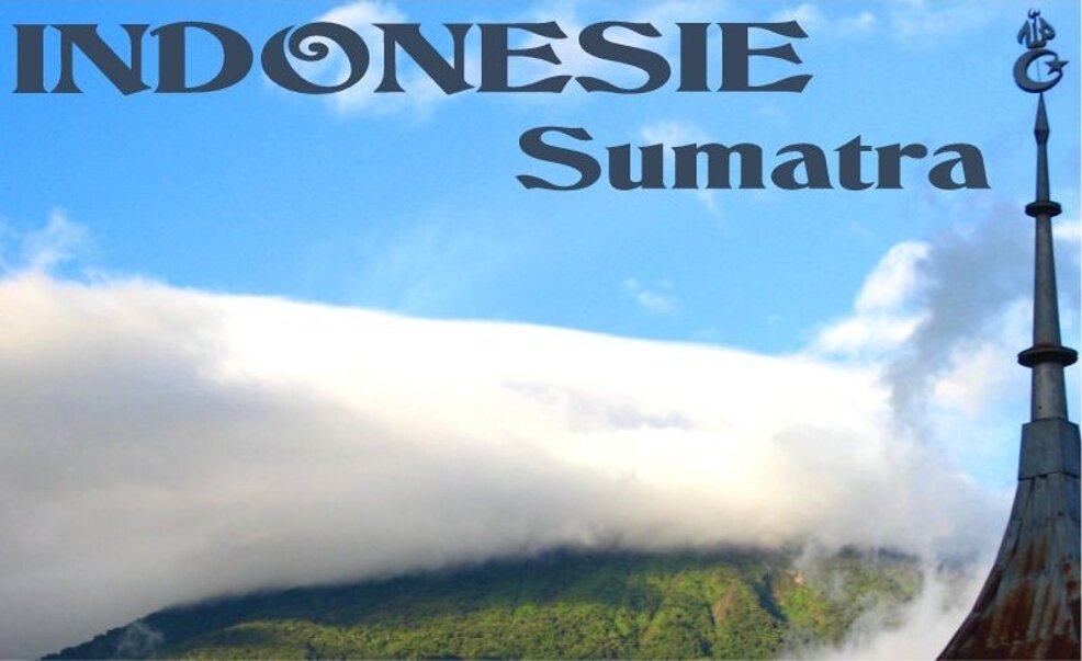 Indonésie 2009 (Sumatra)