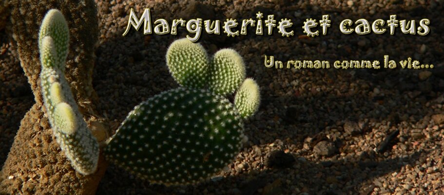 Marguerite et cactus