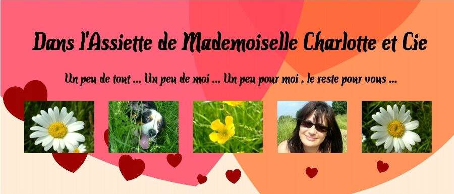 Dans l'Assiette de Mademoiselle Charlotte et Cie