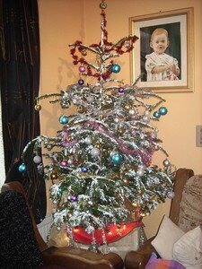 sapin