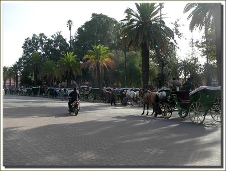 marrakech__388_