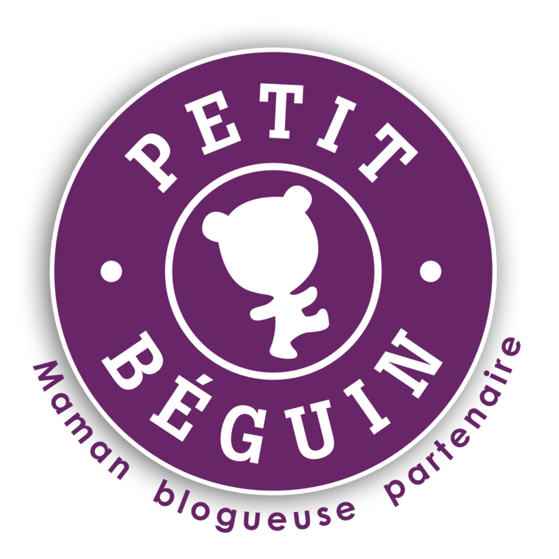 Macaron-Petit-Béguin-Blogueuses