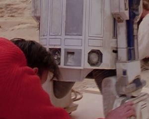 393180_262181197172457_160534294003815_745077_503246897_n