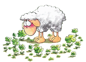 mouton06