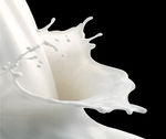 leche_concentrada_y_entera