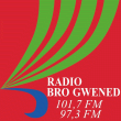 Radio Bro Gwened - Emission "PANIER GARNI"