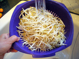 DSCN2029_2