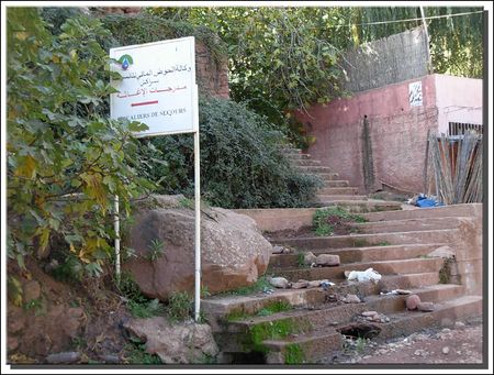 marrakech__342_