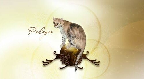 Pelagia