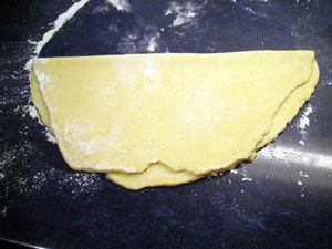 DSCN6661