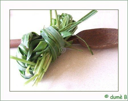 citronnelle citronnelle