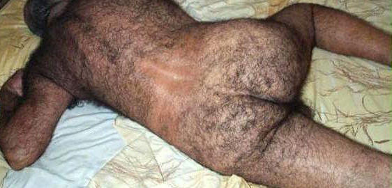 daddy poilu cul en cam daddy poilu cul en cam