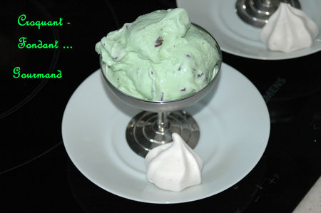 Glace_menthe___p_pites_de_chocolat___juin_2009_084_copie