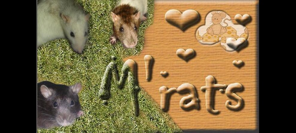 M'rats