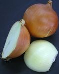 Cebolla__blanca_