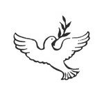 colombe