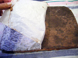 DSCN1221