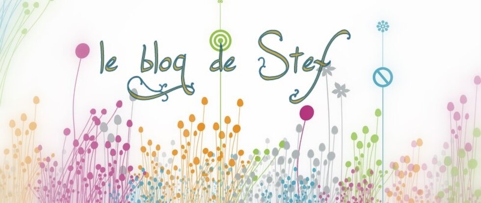Le blog de Stef