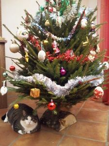 Photo0582