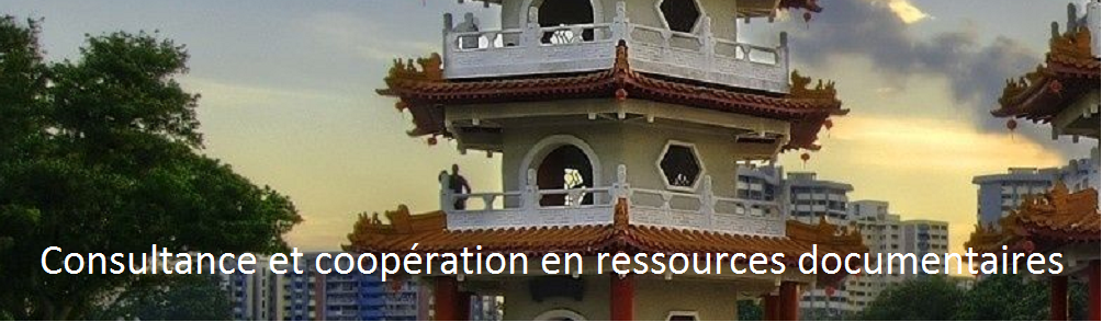 Consultance et coopération en ressources documentaires